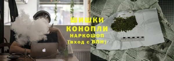 твердый Протвино