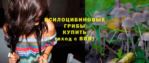 твердый Протвино