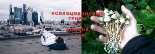 не бодяженный Горнозаводск