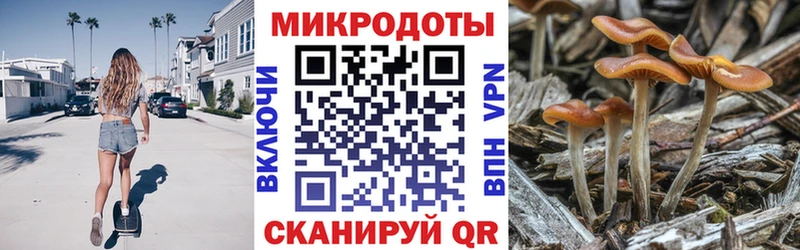 даркнет сайт  мега ссылка  Галлюциногенные грибы Magic Shrooms  Бутурлиновка 
