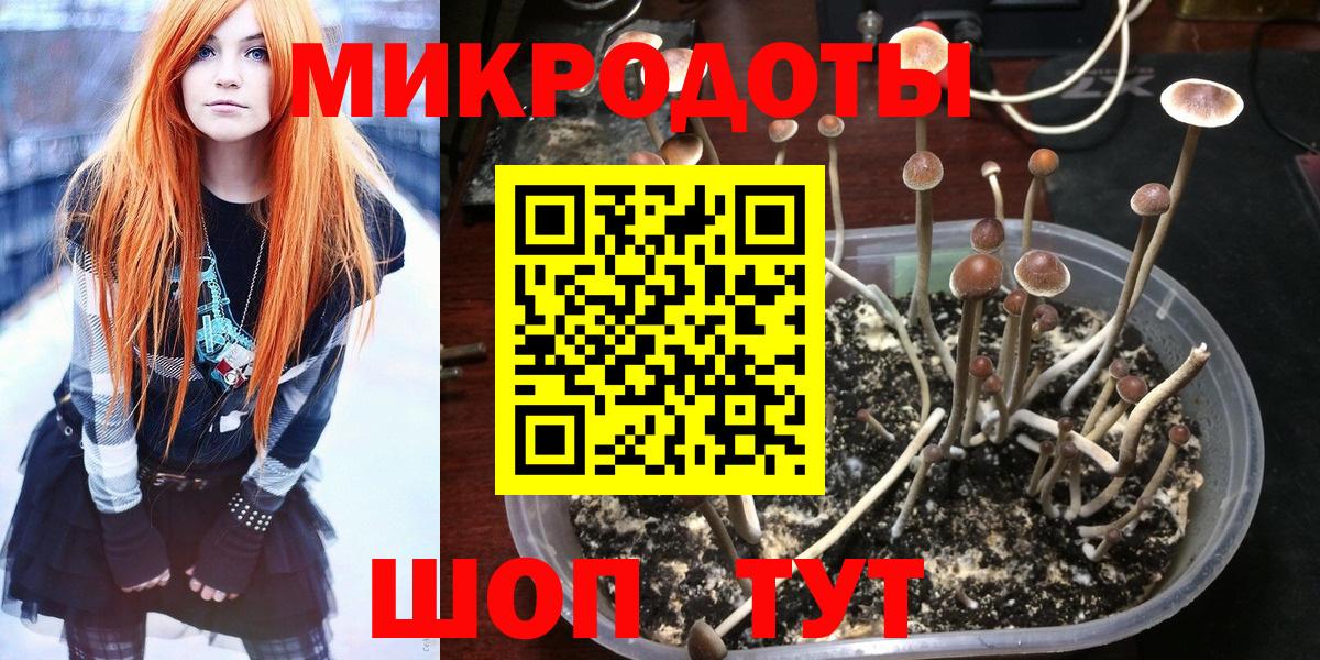 Псилоцибиновые грибы MAGIC MUSHROOMS  Вход с VPN  Бутурлиновка 